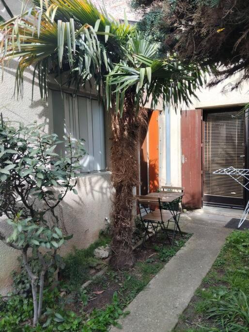 Les Salenques Apartment Toulouse Exterior photo